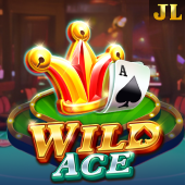 Wild Ace slot on Playtime PH